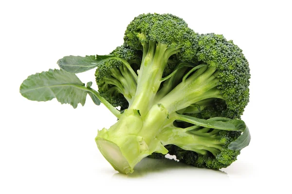 Broccoli isolati su fondo bianco — Foto Stock