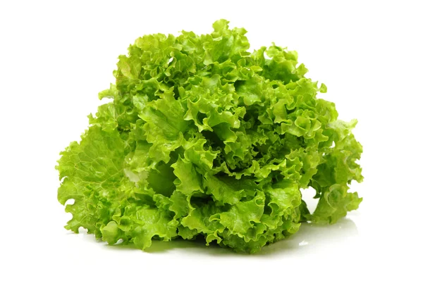 Grüner Salat — Stockfoto