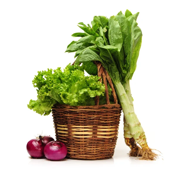 Asparagus lettuce — Stock Photo, Image