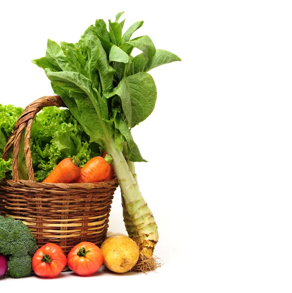 Asparagus lettuce — Stock Photo, Image