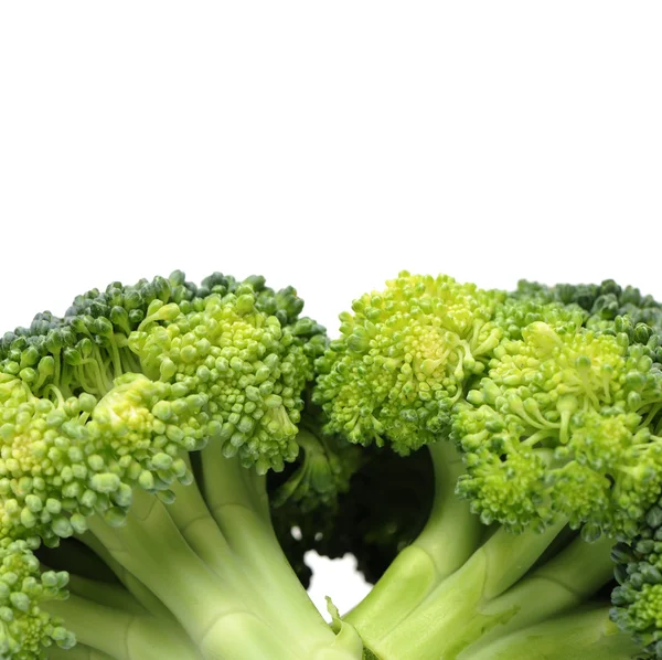 Broccoli isolati su fondo bianco — Foto Stock