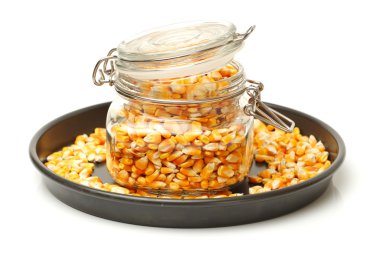 Mısır ve mısır tohumları