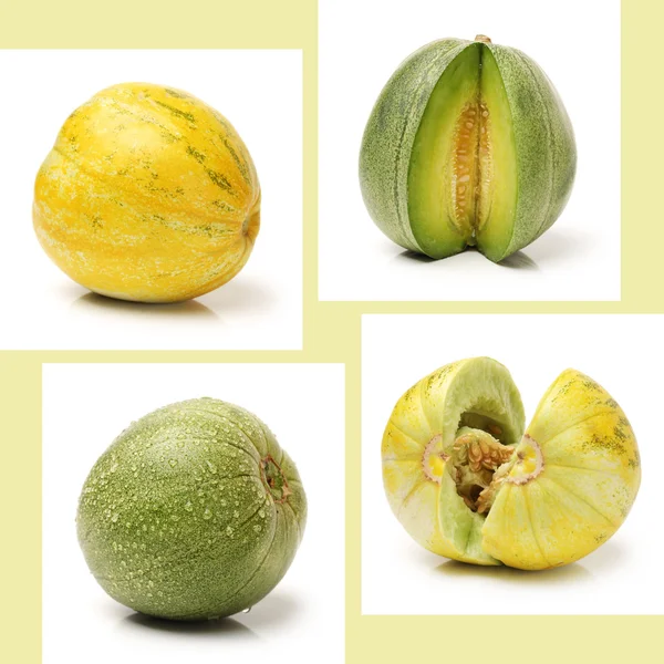 Melons isolated — Stock Photo, Image