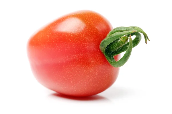 Frische Tomaten — Stockfoto