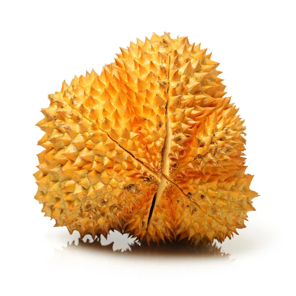 Durianu - jihovýchodní Asie — Stock fotografie