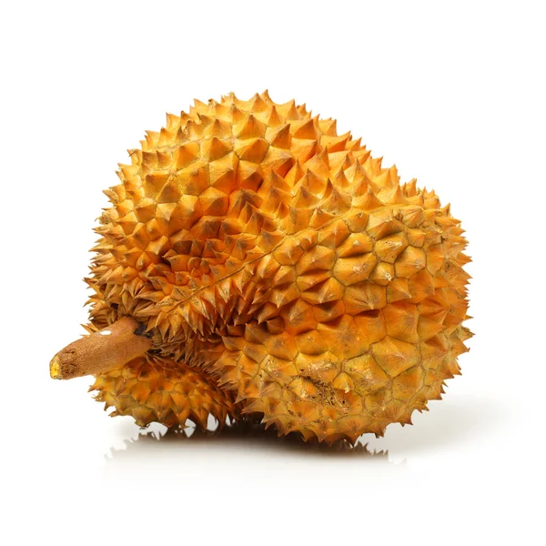 Durian frukt - Sydostasien — Stockfoto