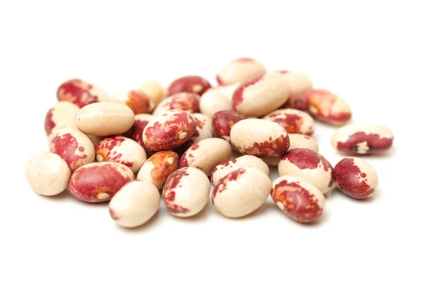 Phaseolus vulgaris beans — Stock Photo, Image