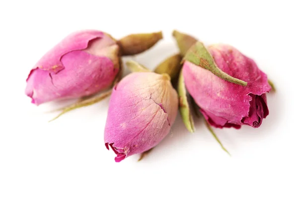 Flores de rosa de té —  Fotos de Stock