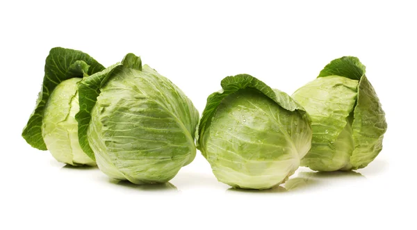 Fresh cabbage — Stock Photo, Image