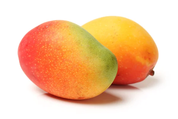 Taze Mango — Stok fotoğraf