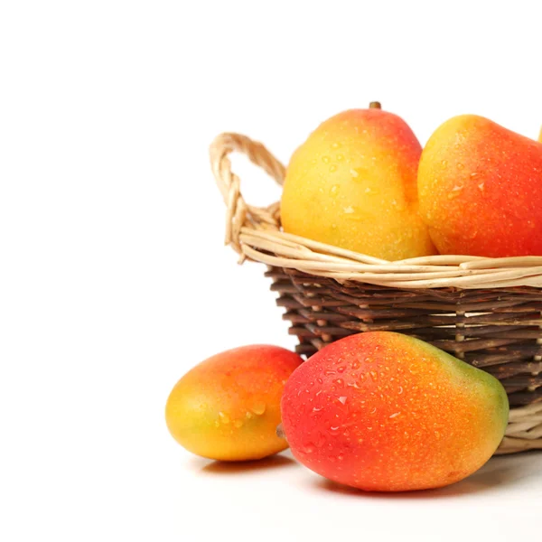 Färsk mango — Stockfoto