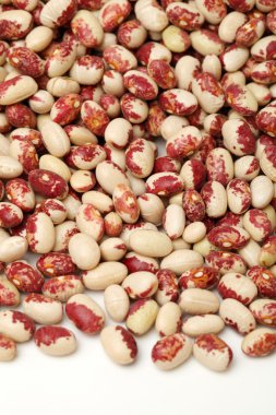 phaseolus vulgaris fasulye