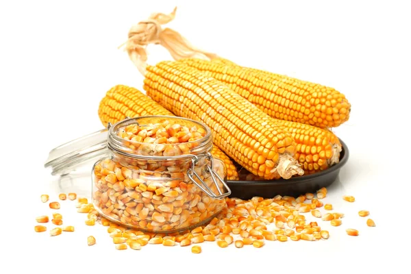 Maíz y semillas de maíz — Foto de Stock