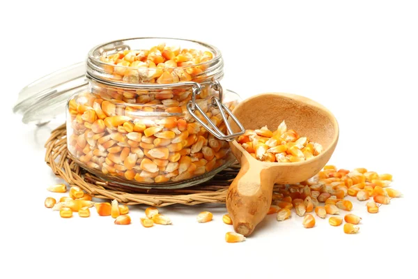 Maíz y semillas de maíz — Foto de Stock