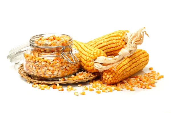 Sementes de milho e milho — Fotografia de Stock