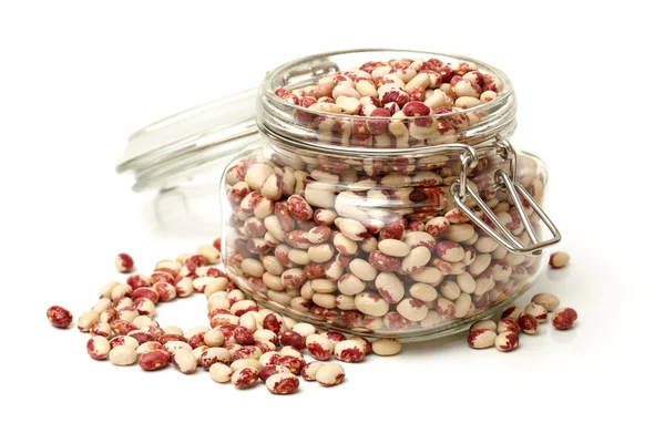 Phaseolus vulgaris beans — Stock Photo, Image