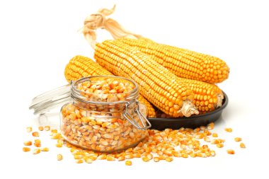 Mısır ve mısır tohumları