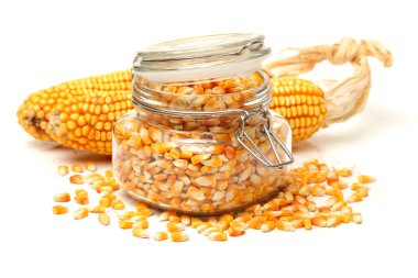 Mısır ve mısır tohumları