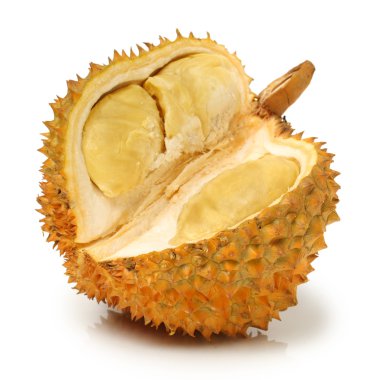 Durian meyve - Güney Doğu Asya