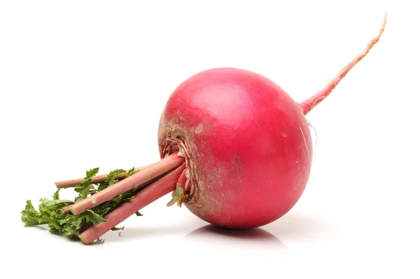 Radish — Stock Photo, Image