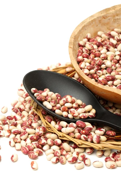 Phaseolus vulgaris beans — Stock Photo, Image