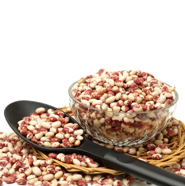 Phaseolus vulgaris beans — Stock Photo, Image