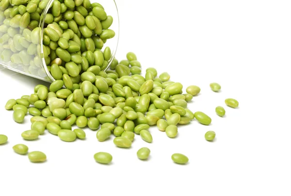 Green soy beans — Stock Photo, Image