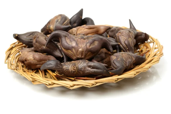 Water chestnut (Trapa bispinosa Roxb) — Stock Photo, Image