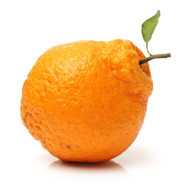 Orangenfrüchte — Stockfoto