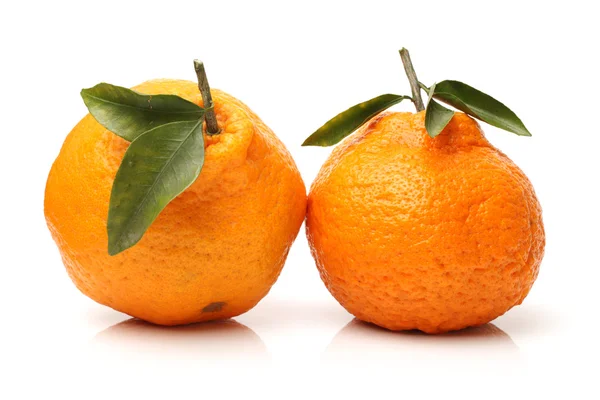 Oranje vruchten — Stockfoto