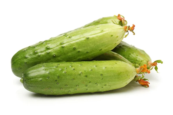 Green cucumbers — Stock Photo, Image