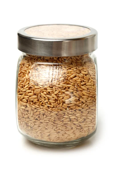 Oat grains — Stock Photo, Image