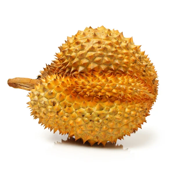 Durian meyve - Güney Doğu Asya — Stok fotoğraf