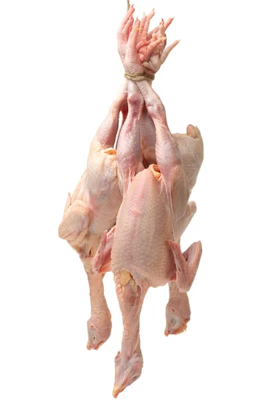 Raw hen — Stock Photo, Image