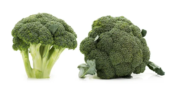 Broccoli isolerad på vit bakgrund — Stockfoto