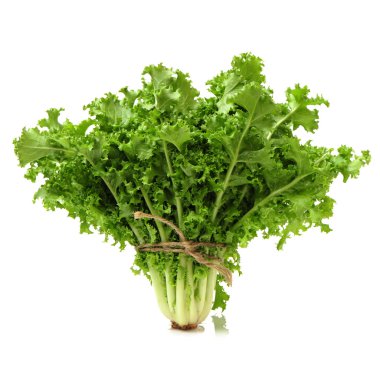 taze sonchus