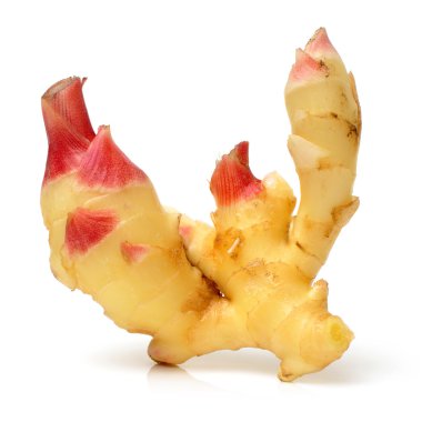 taze zencefil kökü