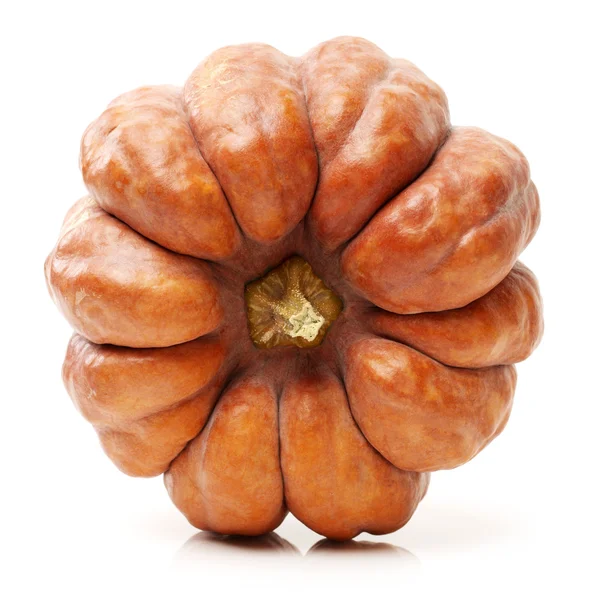 Orange pumpkin — Stock Photo, Image