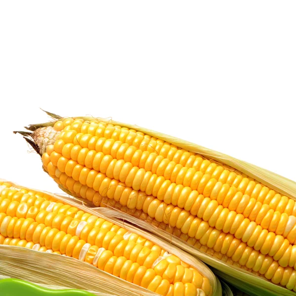 Yellow Corn — Stock Photo, Image