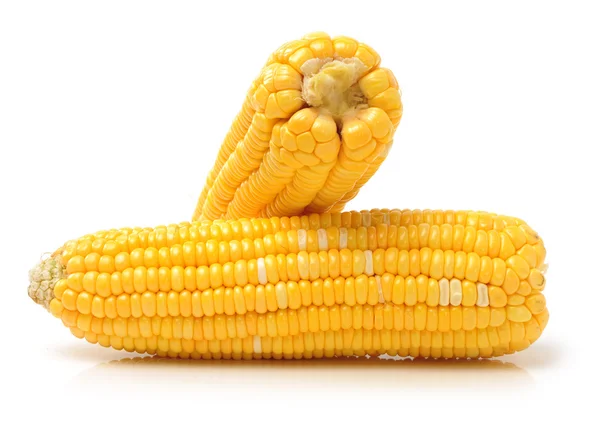 Yellow Corn — Stock Photo, Image