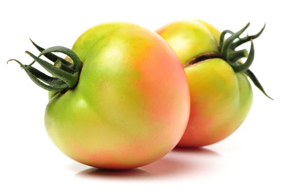 Verse tomaten — Stockfoto