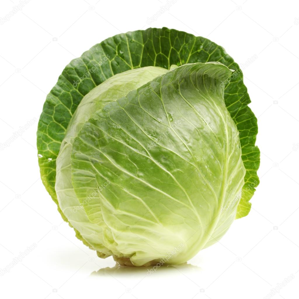 Fresh cabbage