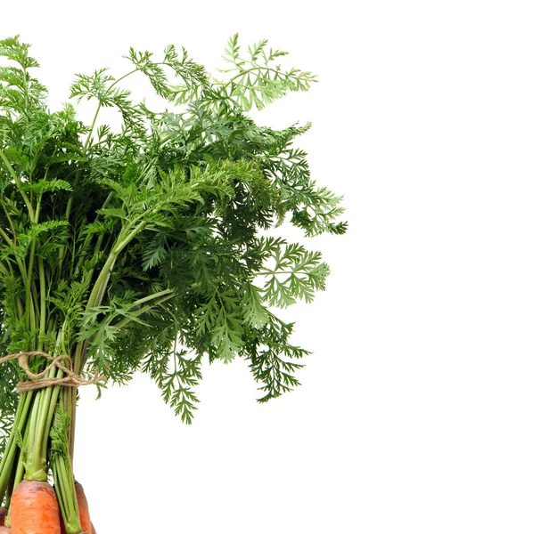 Légumes aux carottes avec feuilles — Photo