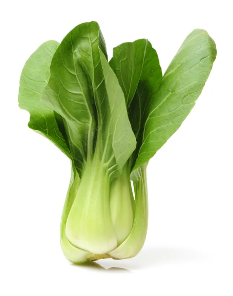 Pok Choi — Stock Photo, Image