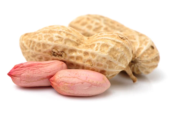 Fresh peanuts — Stock Photo, Image