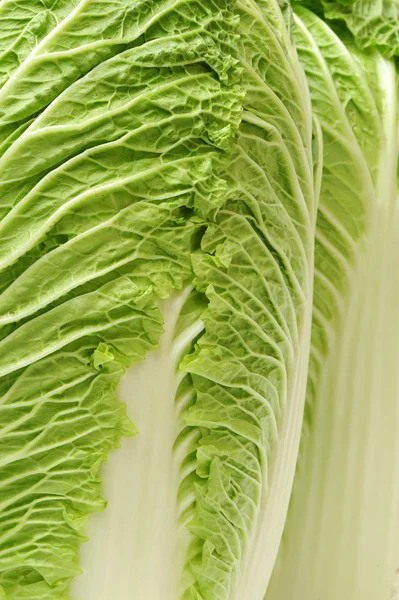 Fresh cabbage — Stock Photo, Image