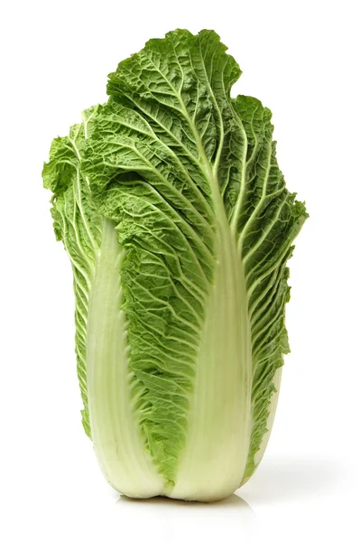 Fresh cabbage — Stock Photo, Image