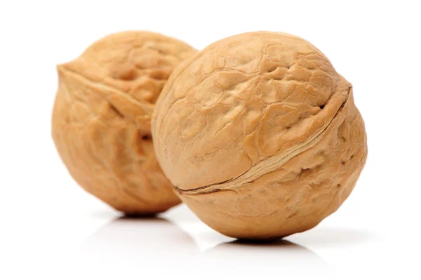 Fresh Walnuts — Stock Photo, Image