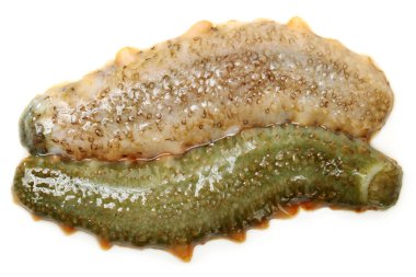 deniz hıyarı