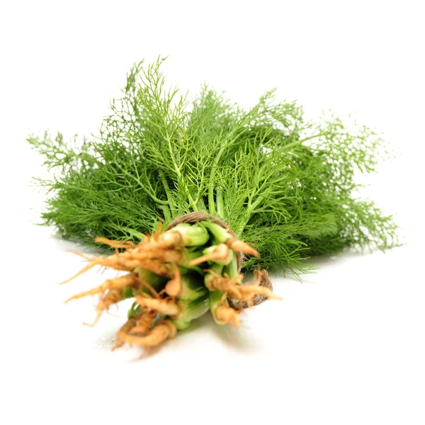 Fresh dill — Stock Photo, Image